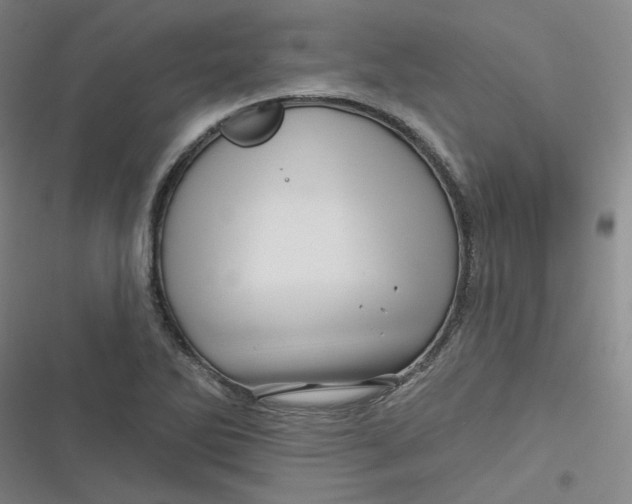 X0000116871270201001121254