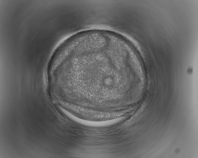 X0000116871271201001121254