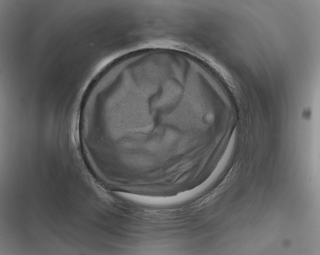 X0000116871272201001121254