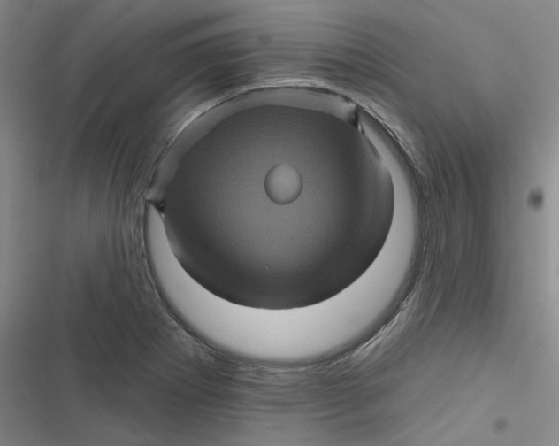 X0000116871273201001121254