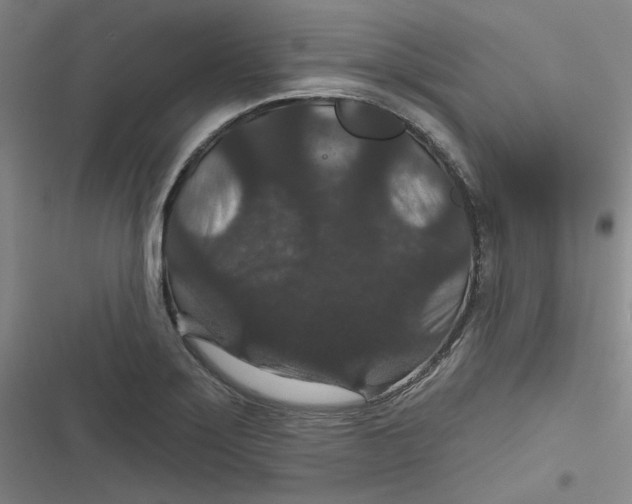 X0000116871275201001121254