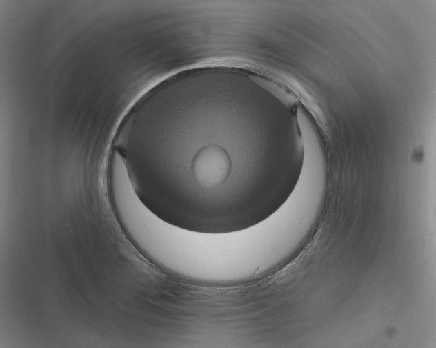 X0000116871276201001121254