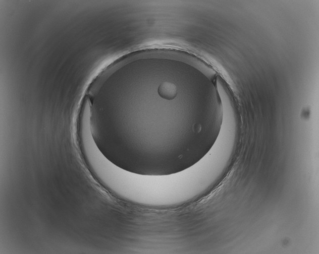 X0000116871277201001121254