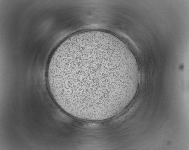 X0000116871278201001121254