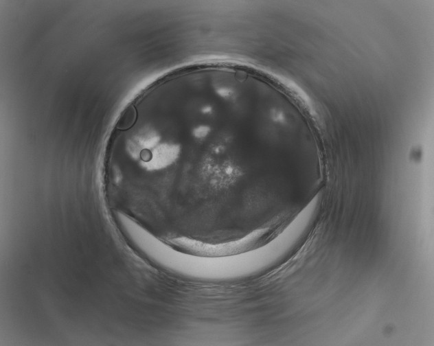 X0000116871279201001121254