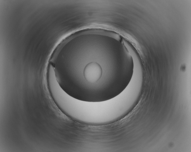 X0000116871280201001121254