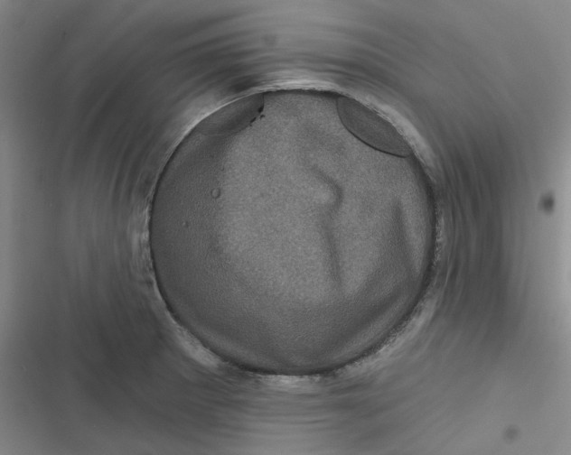 X0000116871281201001121254