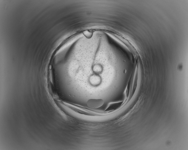 X0000116871282201001121254