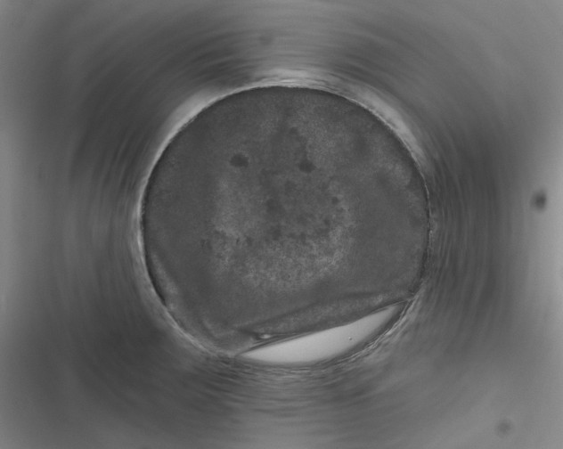 X0000116871283201001121254