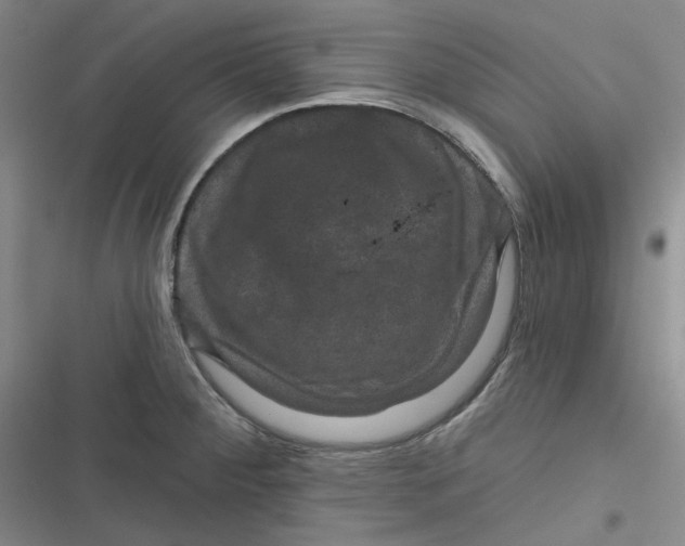 X0000116871284201001121254