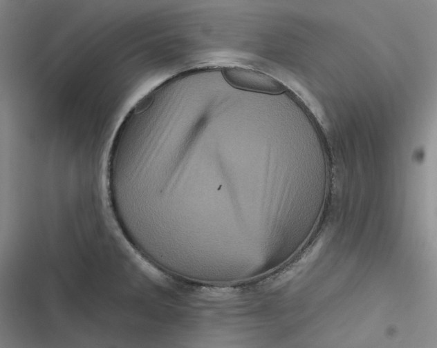 X0000116871285201001121254