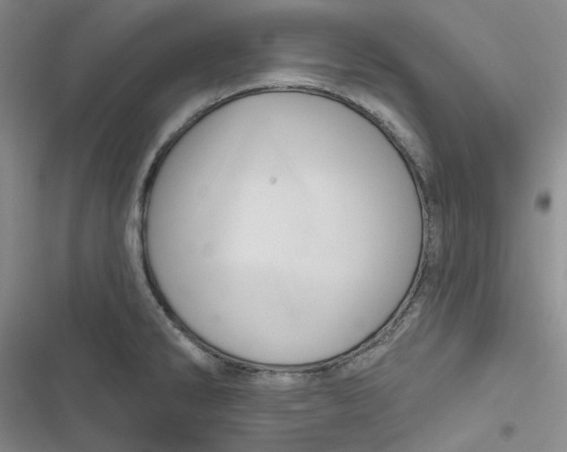 X0000116871286201001121254