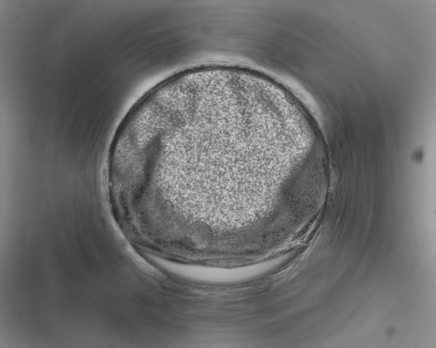 X0000116871287201001121254