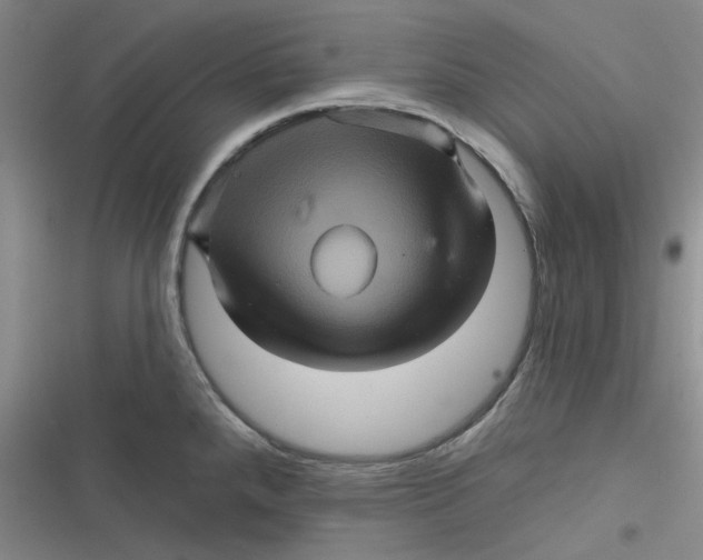 X0000116871288201001121254