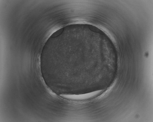 X0000116871289201001121254