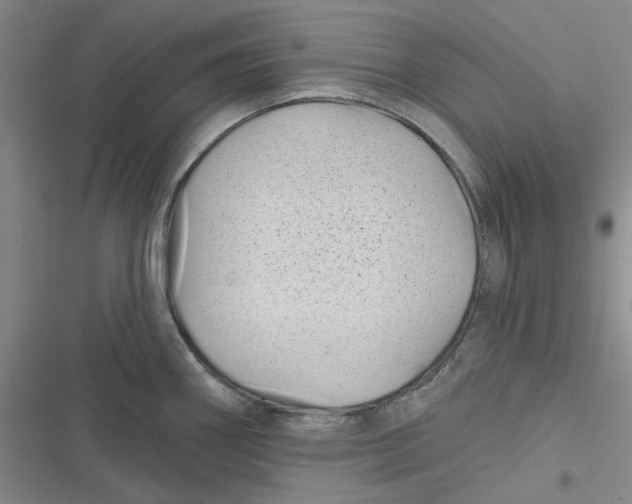 X0000116871290201001121254