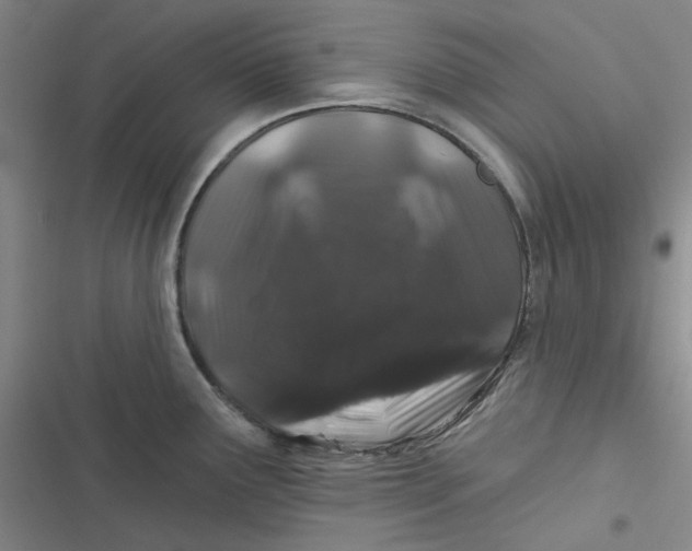 X0000116871291201001121254