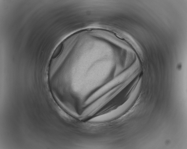 X0000116871292201001121254