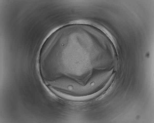 X0000116871293201001121254