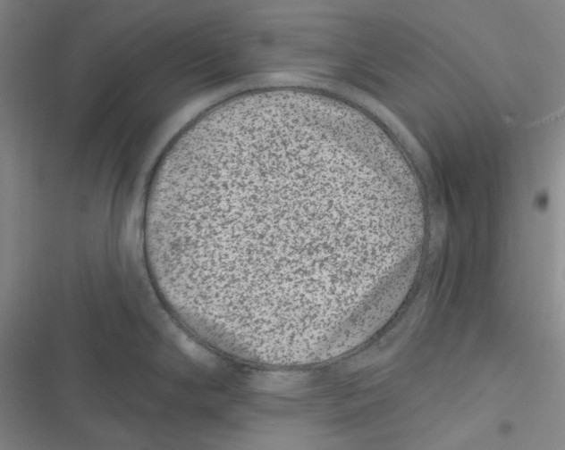 X0000116871294201001121254