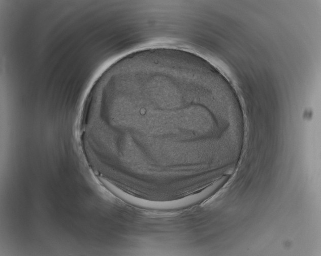 X0000116871296201001121254