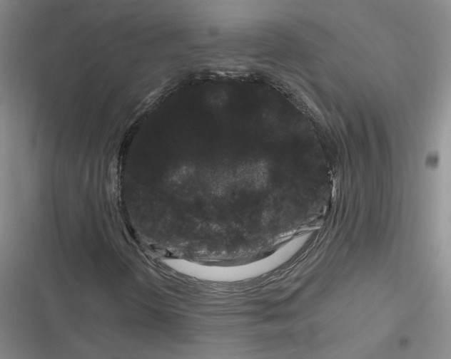 X0000116871298201001121253