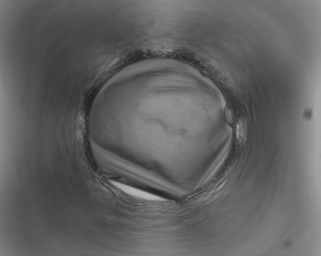 X0000116871299201001121253