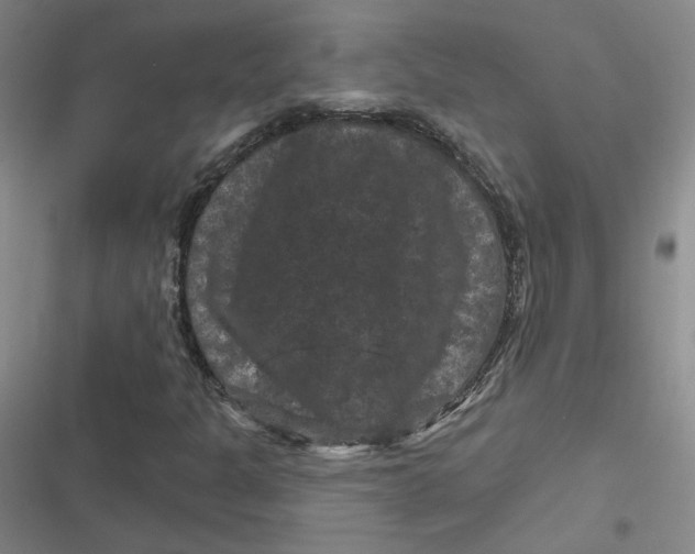 X0000116871301201001121253