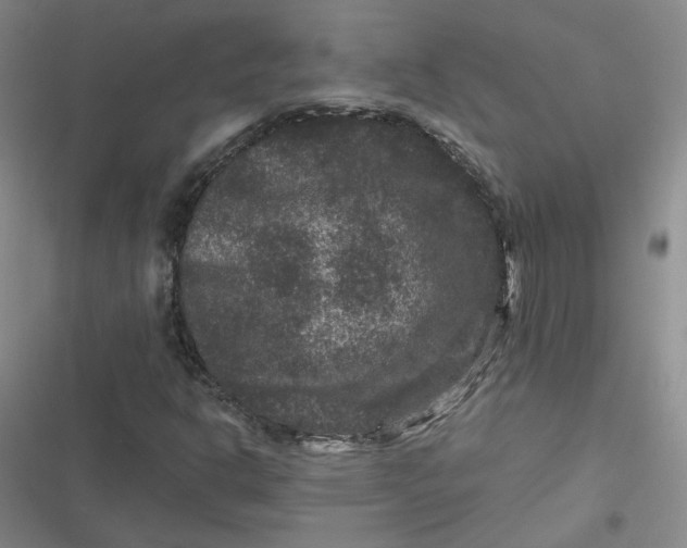 X0000116871302201001121253