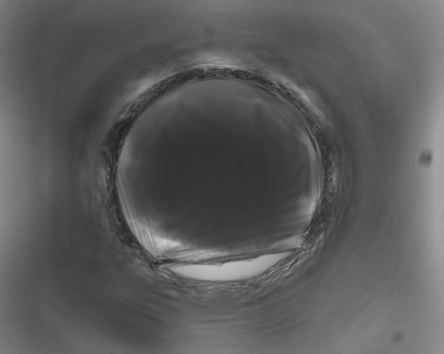 X0000116871303201001121253