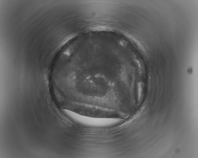 X0000116871305201001121253