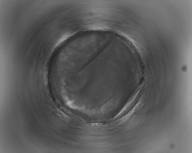 X0000116871306201001121253