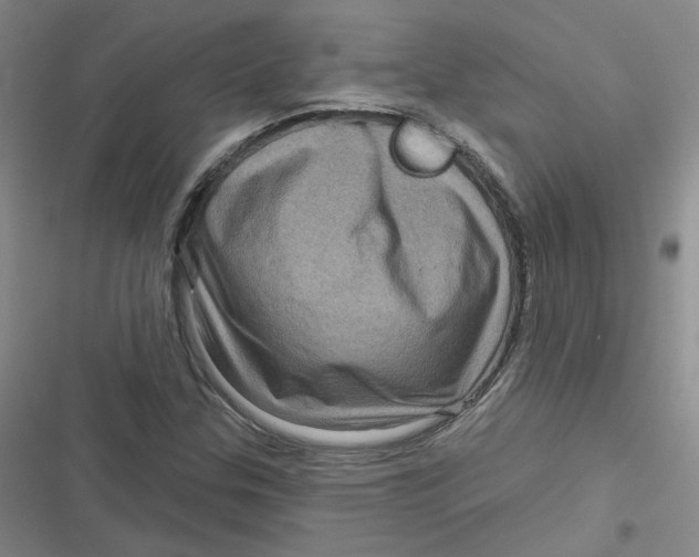 X0000116871307201001121253