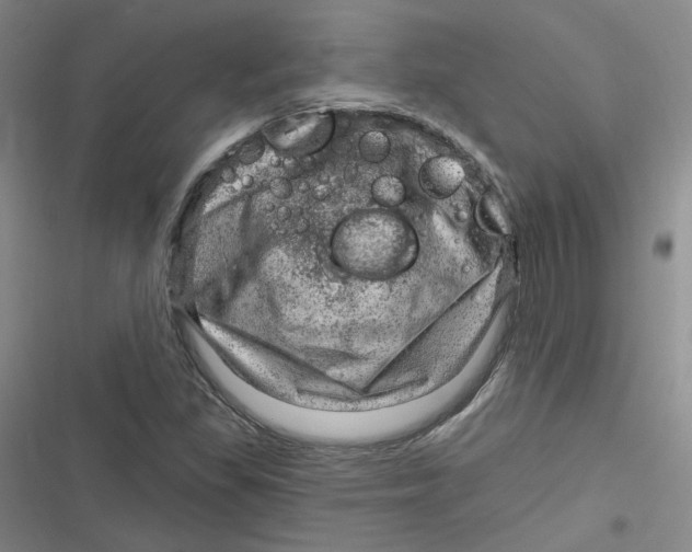 X0000116871309201001121253