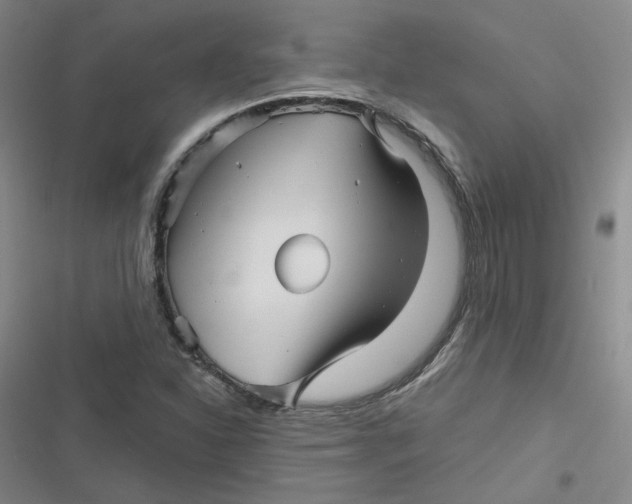 X0000116871310201001121253