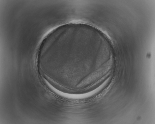 X0000116871311201001121253