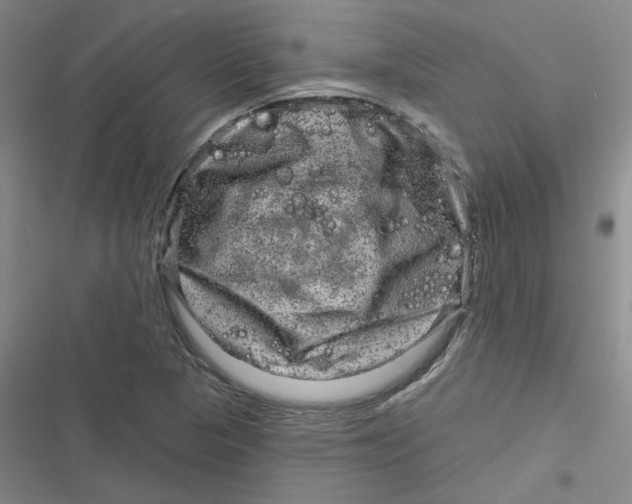 X0000116871313201001121253