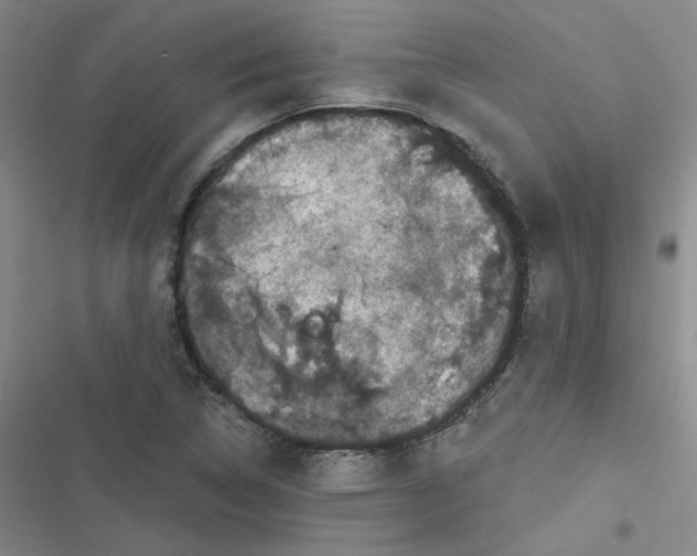 X0000116871314201001121253