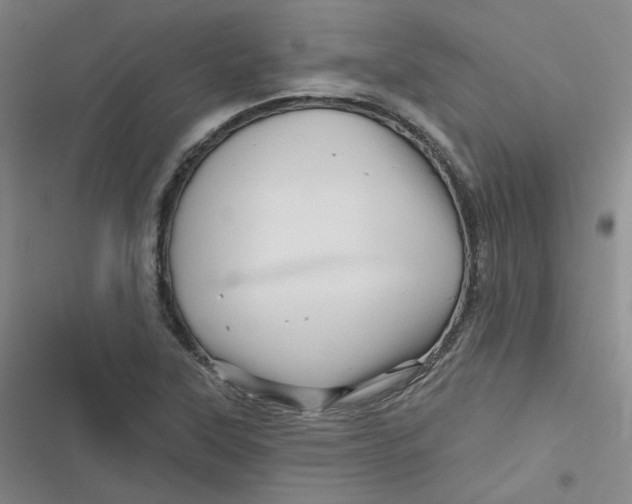 X0000116871315201001121253