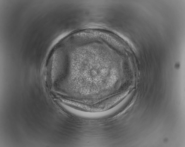 X0000116871317201001121253