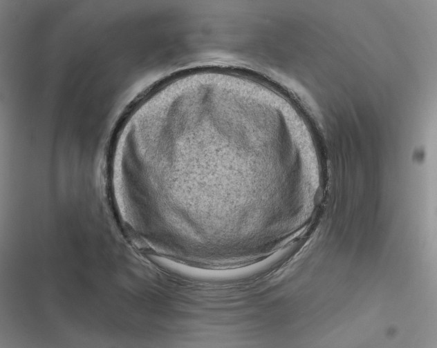 X0000116871318201001121253