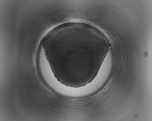 X0000116871319201001121253