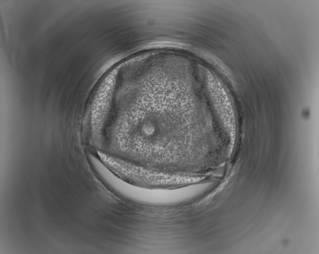 X0000116871321201001121253