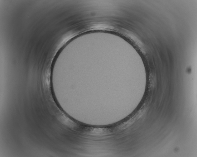 X0000116871322201001121253