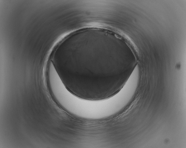 X0000116871323201001121253