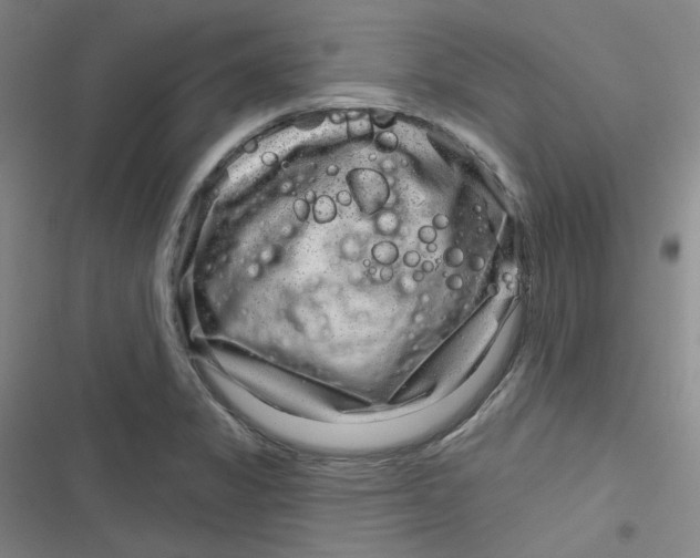 X0000116871325201001121253