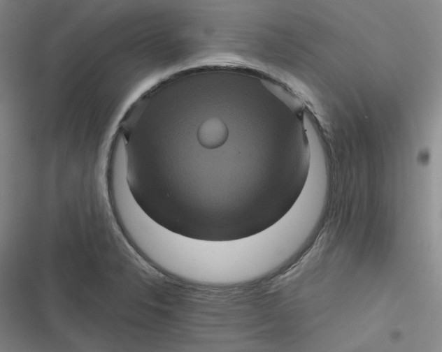 X0000116871326201001121253