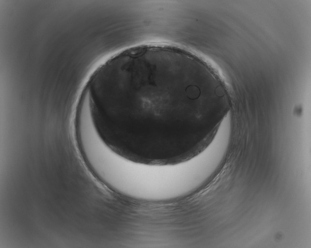 X0000116871327201001121253