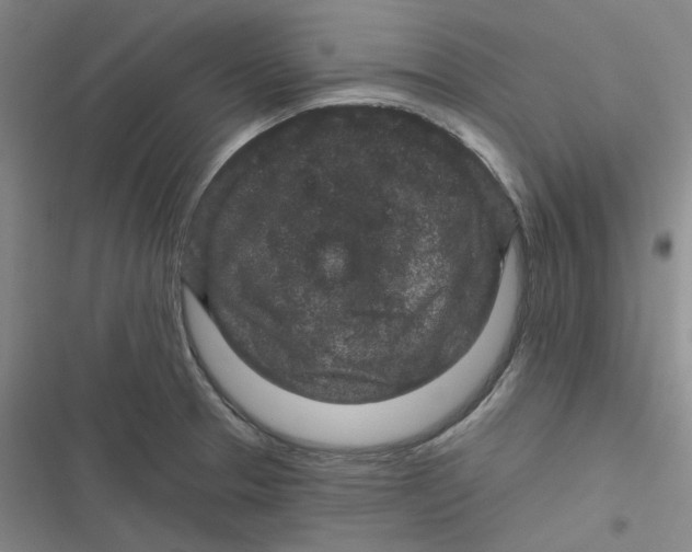 X0000116871329201001121253