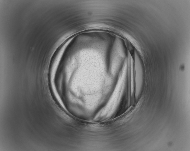 X0000116871330201001121253